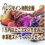 �ܳץߥ˥֡��ķ����ȥ�åס��ץ쥼���